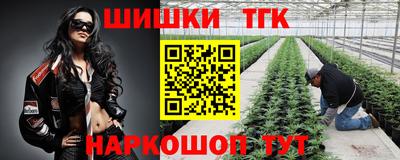 крисы Изобильный